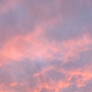 Meet your Posher, Emily's iphone